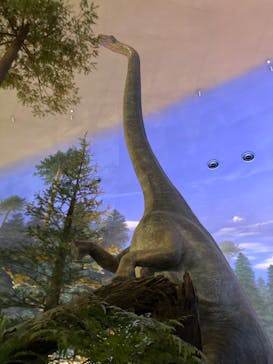 福井県立恐竜博物館に投稿された画像（2025/10/26）