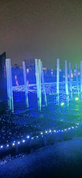 東京メガイルミに投稿された画像（2025/10/26）