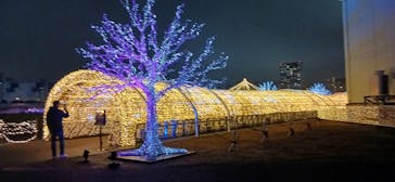 東京メガイルミに投稿された画像（2025/10/26）