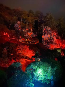 NAKED夜さんぽ™ 石川・那谷寺に投稿された画像（2025/10/26）