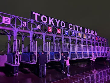 東京メガイルミに投稿された画像（2025/10/26）