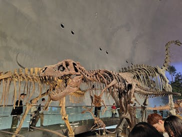 福井県立恐竜博物館に投稿された画像（2025/10/26）
