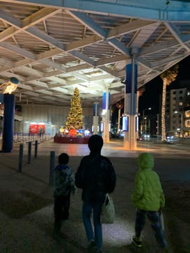 新江ノ島水族館に投稿された画像（2025/10/26）