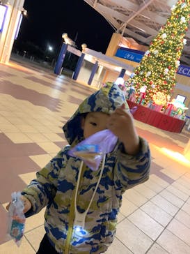 新江ノ島水族館に投稿された画像（2025/10/26）