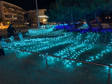 新江ノ島水族館に投稿された画像（2025/10/26）