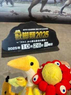 福井県立恐竜博物館に投稿された画像（2025/10/26）