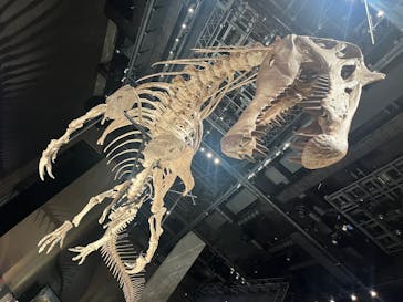 福井県立恐竜博物館に投稿された画像（2025/10/26）