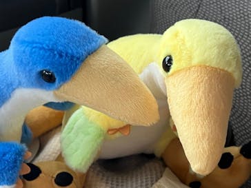 福井県立恐竜博物館に投稿された画像（2025/10/26）