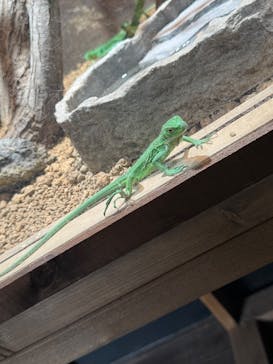 体感型動物園iZooに投稿された画像（2025/10/26）