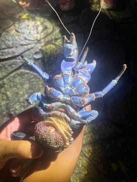 宮古島マリン SUGAR3（シュガースリー）に投稿された画像（2025/10/26）