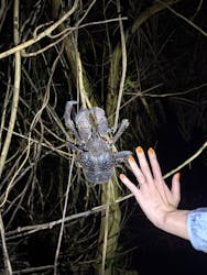 宮古島マリン SUGAR3（シュガースリー）に投稿された画像（2025/10/26）