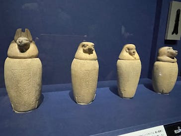 ブルックリン博物館所蔵　特別展　古代エジプト（豊田会場）に投稿された画像（2025/10/26）
