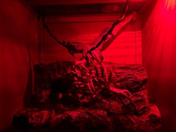 サンシャイン水族館に投稿された画像（2025/10/26）