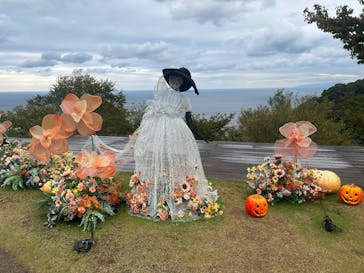 ACAO FORESTに投稿された画像（2025/10/26）