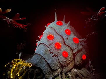 金曜ロードショーとジブリ展（静岡展）に投稿された画像（2025/10/26）