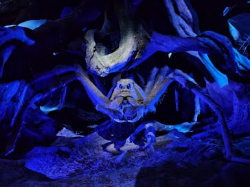 ワーナー ブラザース スタジオツアー東京 - メイキング・オブ・ハリー・ポッターに投稿された画像（2025/10/26）