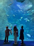 新江ノ島水族館に投稿された画像（2025/10/27）