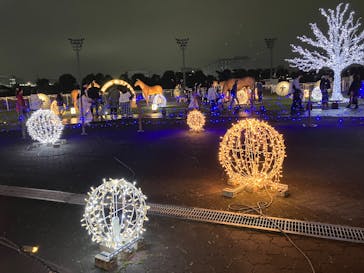 東京メガイルミに投稿された画像（2025/10/26）