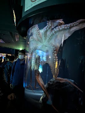 サンシャイン水族館に投稿された画像（2025/10/26）