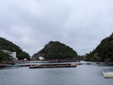 太地町立くじらの博物館に投稿された画像（2025/10/26）