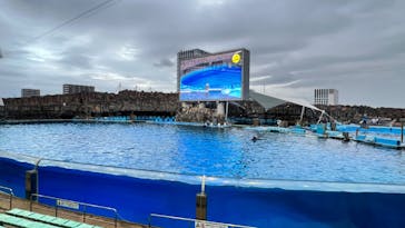 名古屋港水族館に投稿された画像（2025/10/27）