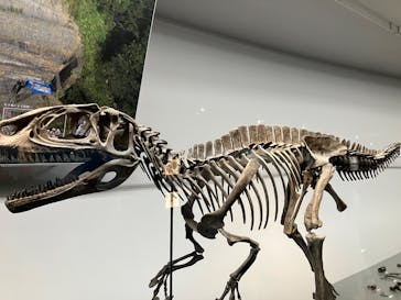 福井県立恐竜博物館に投稿された画像（2025/10/27）