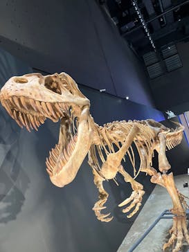 福井県立恐竜博物館に投稿された画像（2025/10/27）