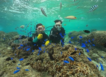 武藤潜水に投稿された画像（2025/10/27）