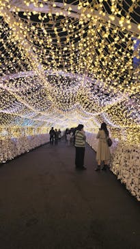 東京メガイルミに投稿された画像（2025/10/27）