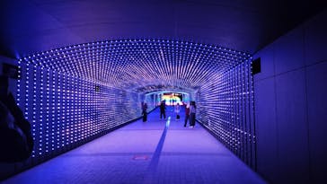 東京メガイルミに投稿された画像（2025/10/27）