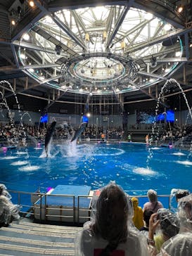 マクセル アクアパーク品川に投稿された画像（2025/10/27）