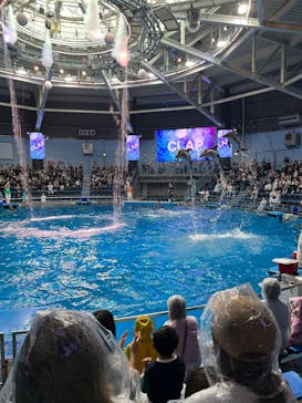 マクセル アクアパーク品川に投稿された画像（2025/10/27）