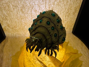 金曜ロードショーとジブリ展（静岡展）に投稿された画像（2025/10/27）