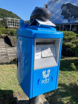 太地町立くじらの博物館に投稿された画像（2025/10/27）