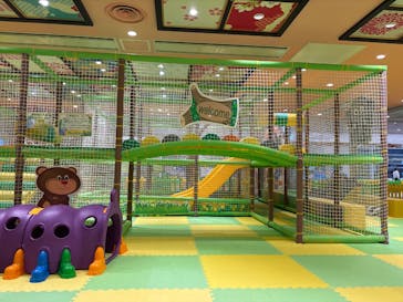 ザキッズ お台場デックス東京ビーチ店に投稿された画像（2025/10/27）