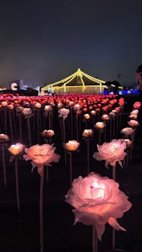 東京メガイルミに投稿された画像（2025/10/27）