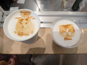 Cat Café MOFF グランベリーパーク店に投稿された画像（2025/10/27）