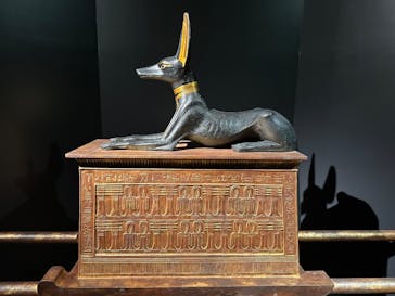 MYSTERY OF TUTANKHAMEN 体感型古代エジプト展に投稿された画像（2025/10/27）