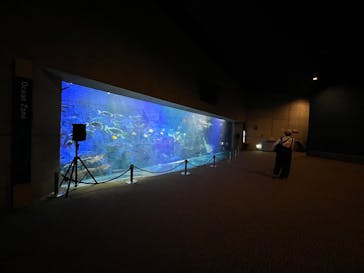 大分マリーンパレス水族館 「うみたまご」に投稿された画像（2025/10/27）