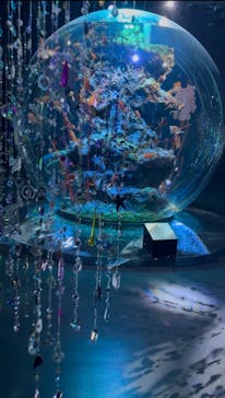 AQUARIUM × ART　atoaに投稿された画像（2025/10/27）