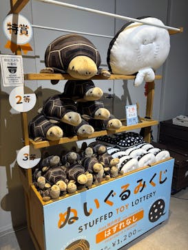 AQUARIUM × ART　atoaに投稿された画像（2025/10/27）