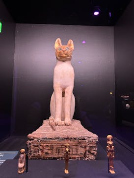 ACN ラムセス大王展 ファラオたちの黄金に投稿された画像（2025/10/27）