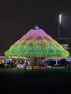 東京メガイルミに投稿された画像（2025/10/27）