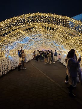 東京メガイルミに投稿された画像（2025/10/27）