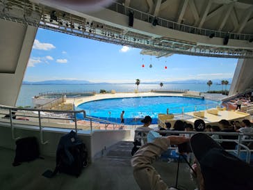 マリンワールド海の中道に投稿された画像（2025/10/27）