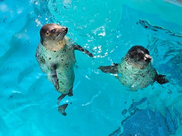 マリンワールド海の中道に投稿された画像（2025/10/27）