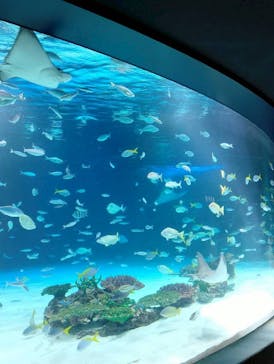 サンシャイン水族館に投稿された画像（2025/10/27）