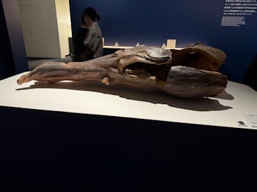 正倉院 THE SHOW ―感じる。いま、ここにある奇跡―　@上野の森美術館に投稿された画像（2025/10/27）