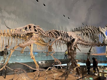 福井県立恐竜博物館に投稿された画像（2025/10/27）