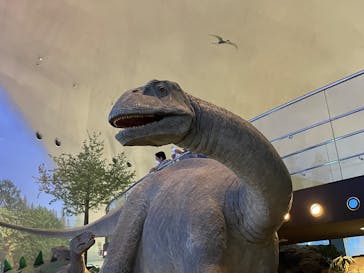 福井県立恐竜博物館に投稿された画像（2025/10/27）